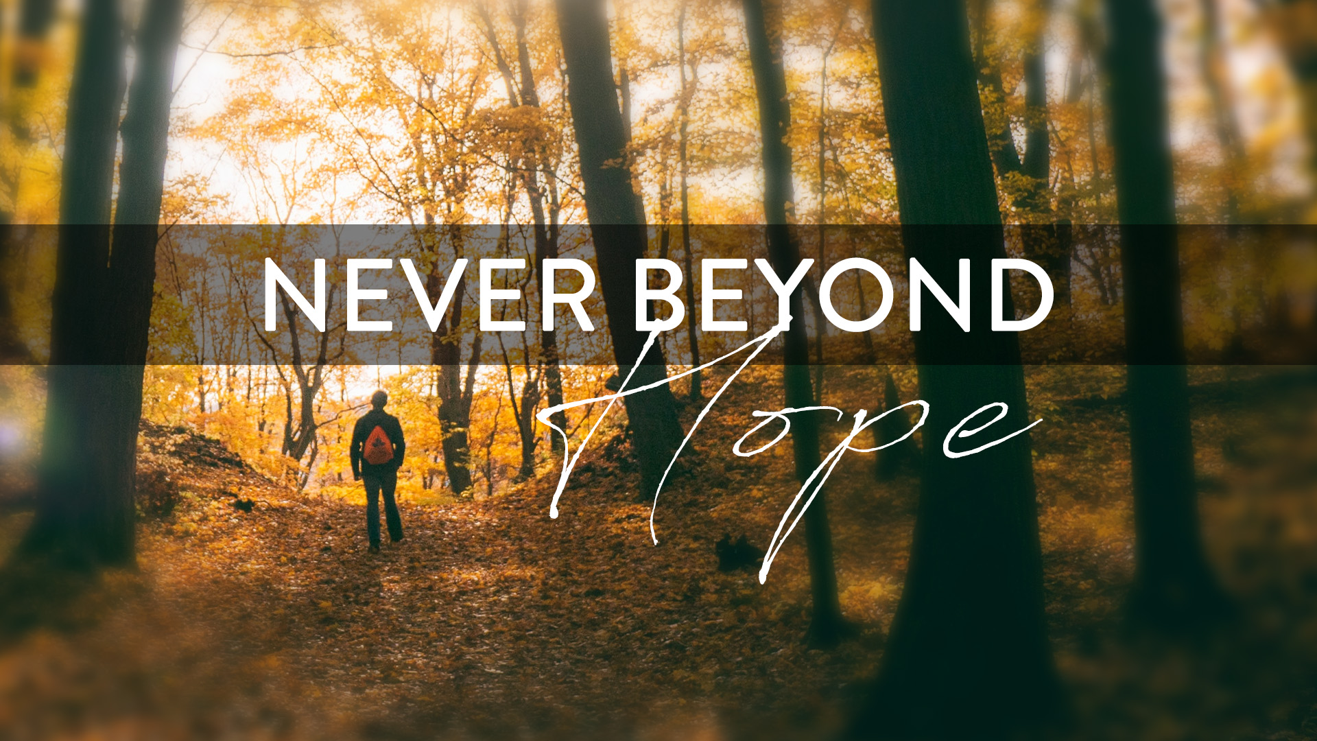 Never Beyond Hope

Hear the Best News Ever or share with someone else
